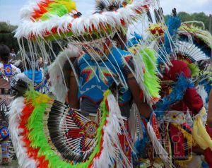 Pow Wow 147 dpi72 wm.jpg